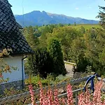 Apartment Lodowy Dom Zakopane