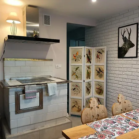 Lodowy Dom Appartement Zakopane